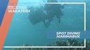 Marimabuk, Pesona Keindahan Spot Diving Terbaik di Pulau Tomia, Wakatobi