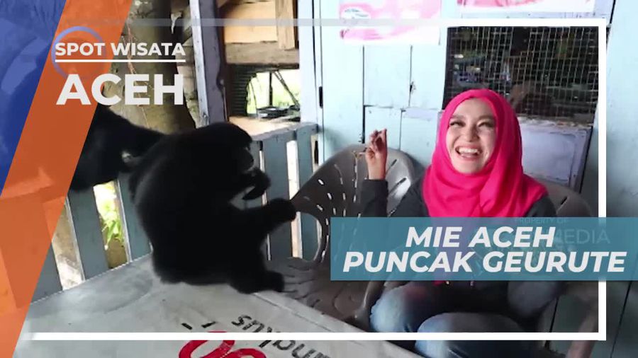 Santap Lezat Mie Aceh Geurute Ditemani Siamang, Aceh