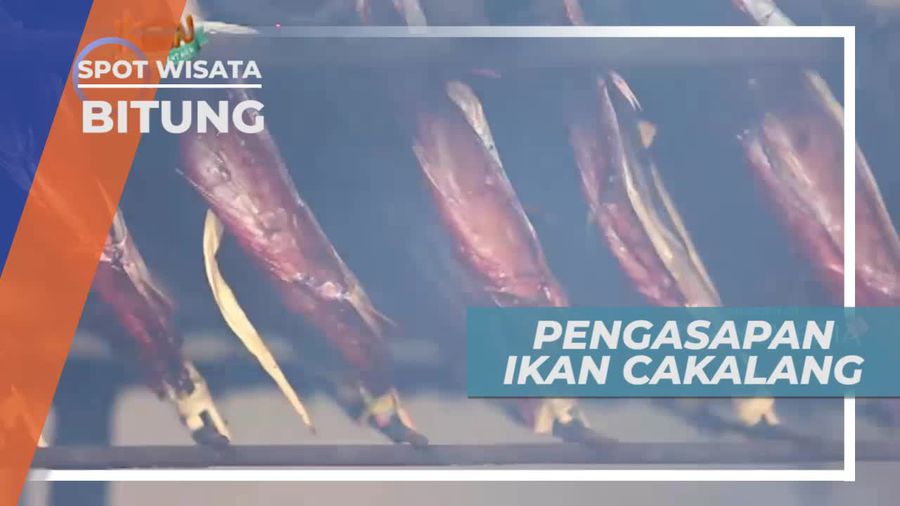 Pengasapan Ikan Cakalang Fufu Dengan Serabut Kelapa, Bitung