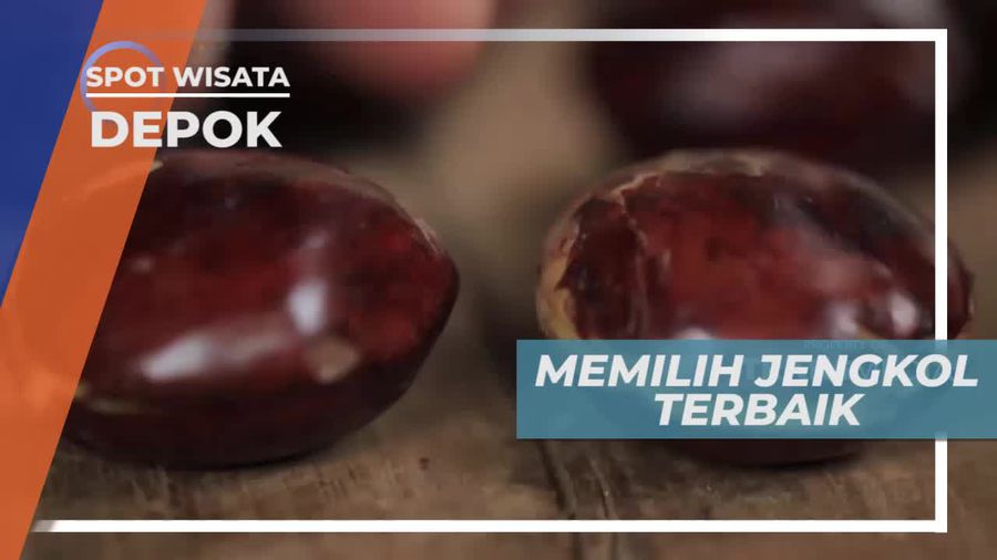 Cara Memilih Jengkol yang Tepat, Depok