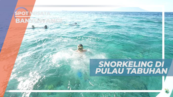 Mengintip Indahnya Surga Bawah Laut Pulau Tabuhan, Banyuwangi
