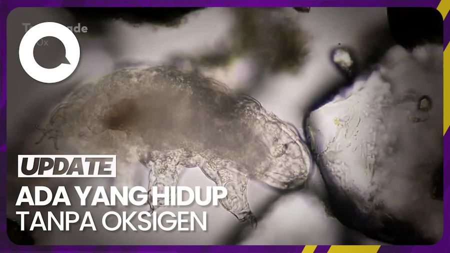 5 Tempat Terekstrem di Dunia yang Masih Dihuni Makhluk Hidup 