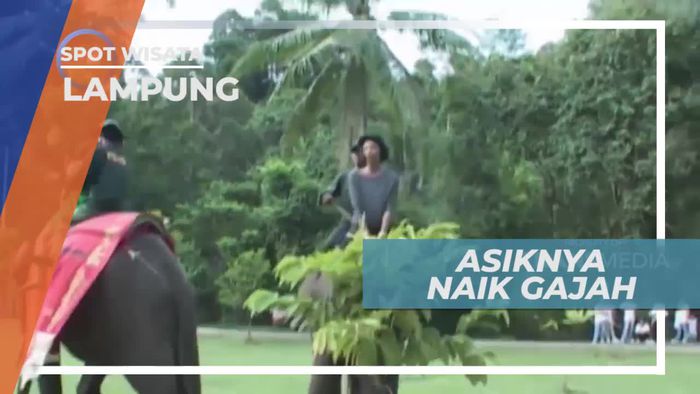 Pengalaman Seru Naik Gajah di Lampung