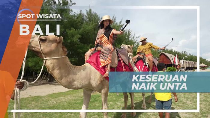 Berkeliling Pantai Menaiki Unta, Keseruan Berwisata di Pulau Bali