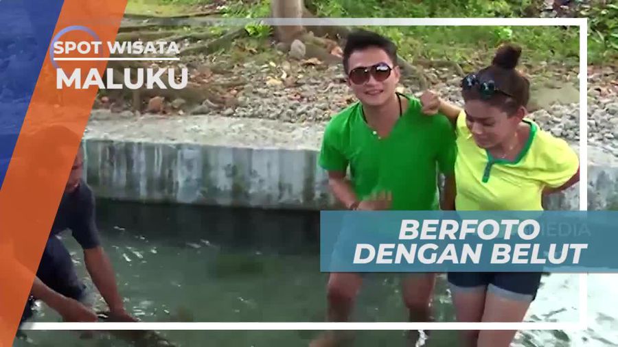 Mengabadikan Momen Berfoto Dengan Belut Raksasa, Desa Wai Maluku
