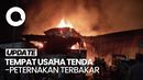 Kebakaran di Duren Sawit, 132 Kambing Ikut Terbakar