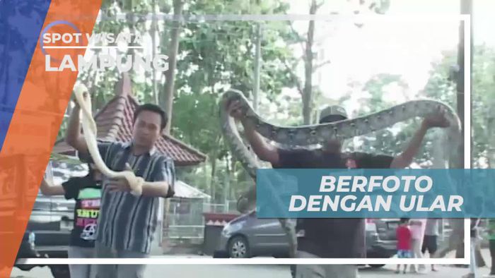 Uji Keberanian Berfoto Dengan Ular, Lampung