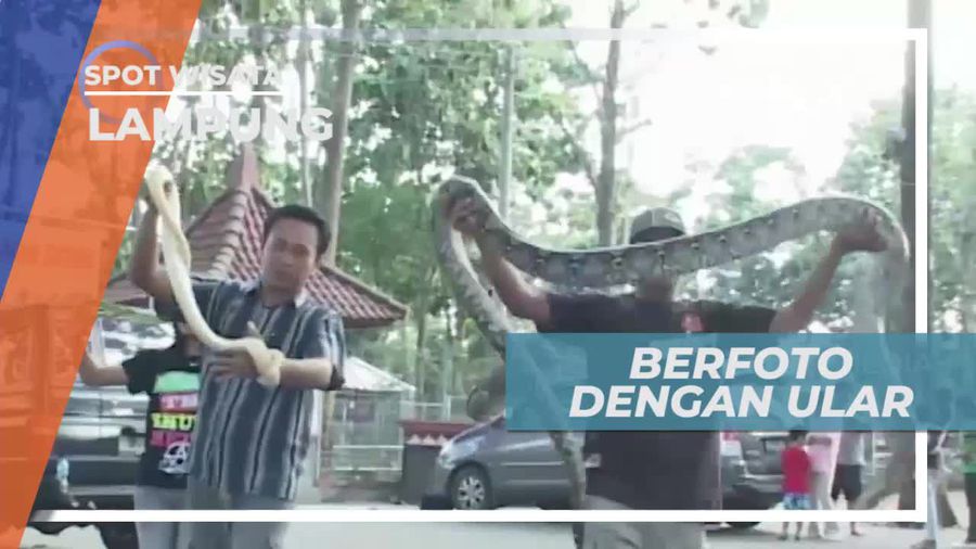 Uji Keberanian Berfoto Dengan Ular, Lampung