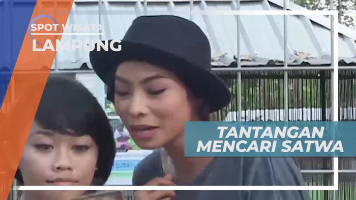 Tantangan Seru Mencari Satwa di Lampung