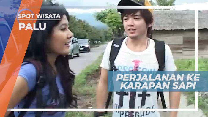 Seru-seruan Naik Angkot Menuju Lokasi Karapan Sapi Khas Kota Palu