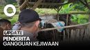 Nasib Pilu Dialami Pria di Sukabumi Dikurung di Kandang Besi