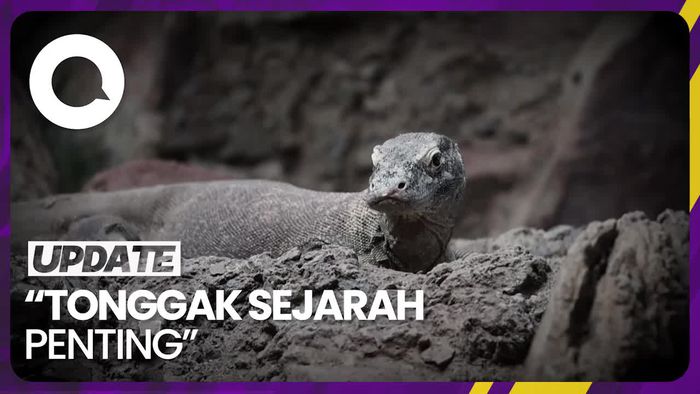 Keberhasilan Spanyol Menetaskan Lima Telur Komodo
