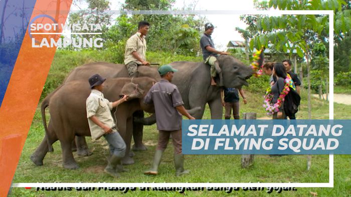 Liburan Seru, Mengunjungi Gajah di Taman Nasional Tesso Nilo, Lampung