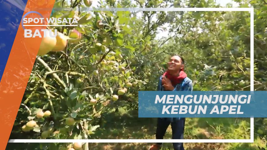 Berkunjung ke Kebun Apel Kota Batu