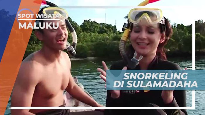Snorkeling Menikmati Keindahan Bawah Laut Pantai Sulamadaha Maluku