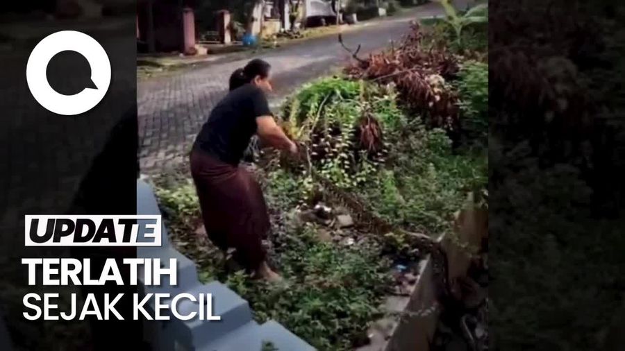 Kisah Bu Thomas, Emak-emak Penakluk Ular di Semarang yang Viral