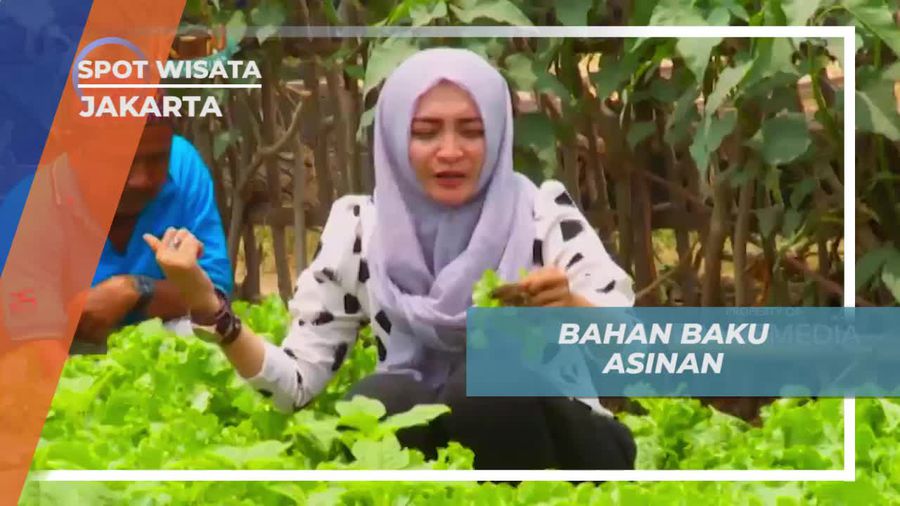 Sayuran Segar, Bahan Baku Utama Asinan, Jakarta