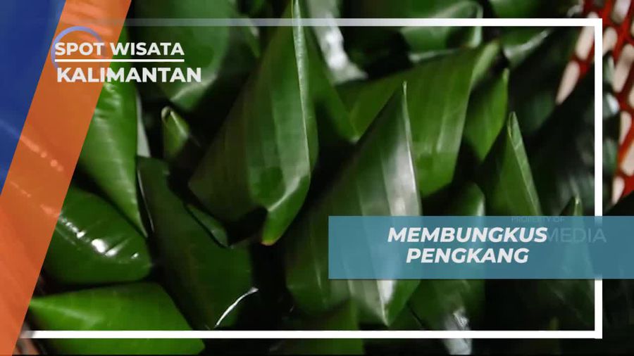 Membungkus Pengkang, Sejenis Kerang di Mempawah Kalimantan Barat