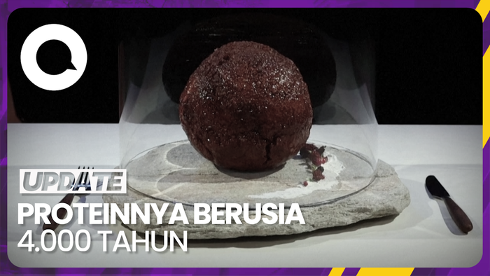 Terobosan Ilmuwan Australia Ciptakan Bakso Daging Mammooth