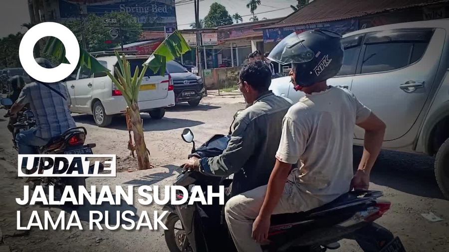 Warga Jambi Tanam Pisang di Tengah Jalan Rusak, Protes Tuntut Perbaikan