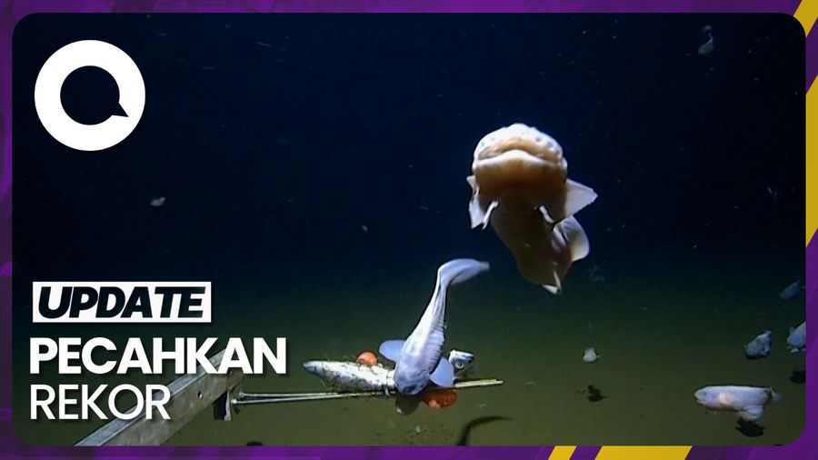 Wujud Ikan di Laut Terdalam yang Terekam Kamera