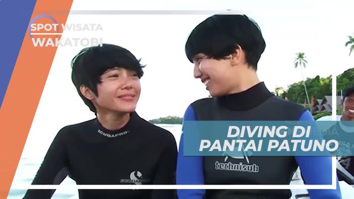 Diving Menikmati Keindahan Bawah Laut Pantai Patuno Wakatobi