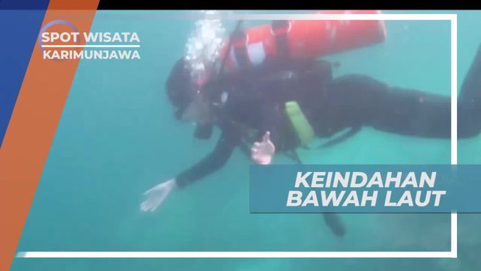 Diving Menikmati Panorama Indah Bawah Laut Karimunjawa