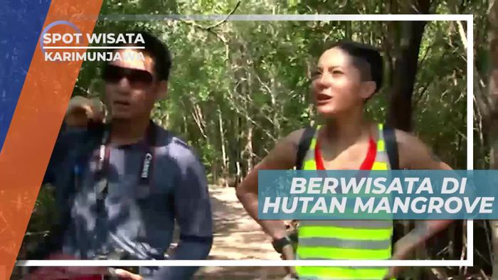 Menyusuri Kawasan Hutan Mangrove Karimunjawa