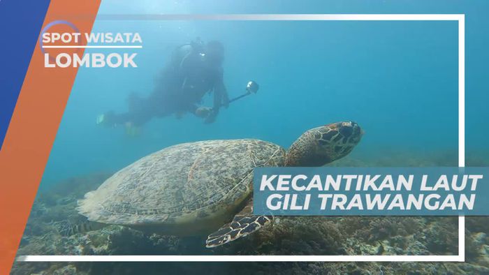 Menikmati Keindahan Laut Gili Trawangan Lombok