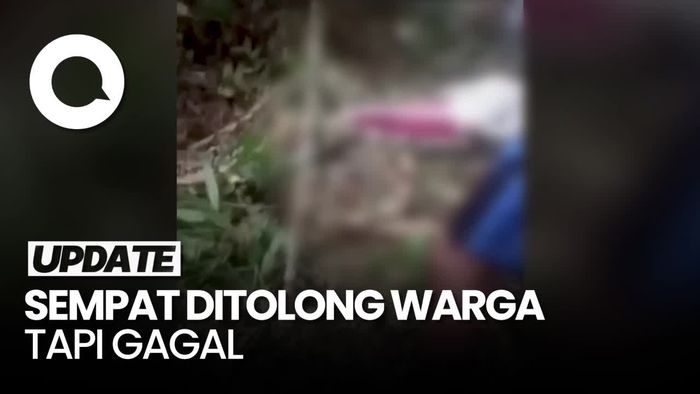 Geger Petani di Sumsel Tewas Dililit Ular Sanca Saat Panen Karet