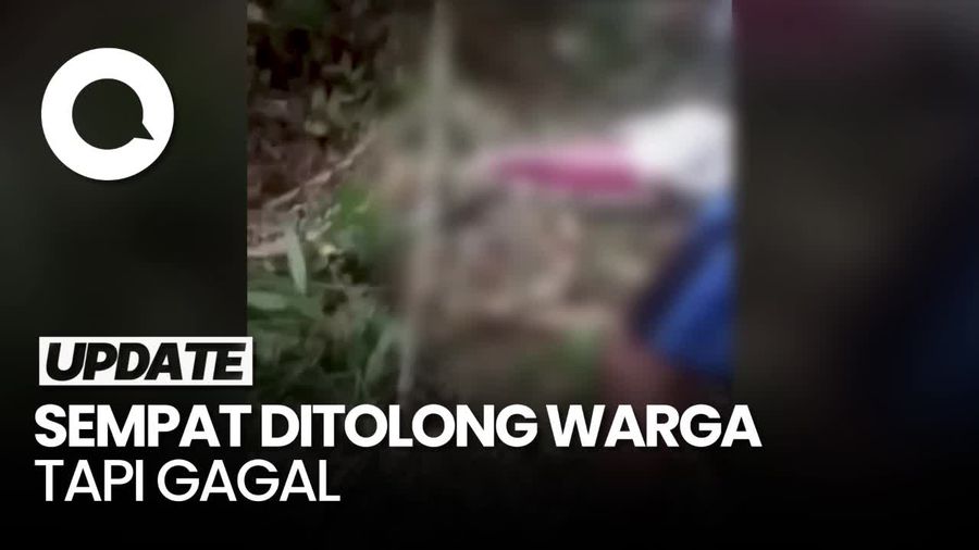 Geger Petani di Sumsel Tewas Dililit Ular Sanca Saat Panen Karet