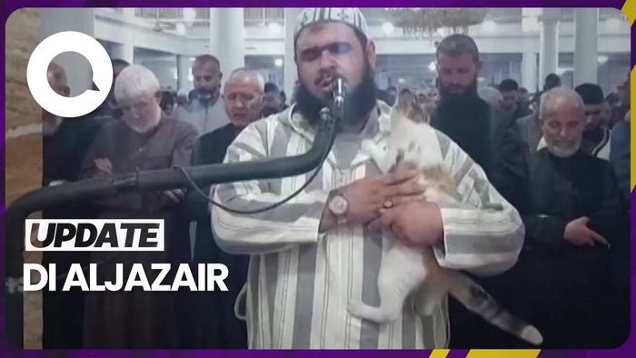 Saat Kucing Panjat Bahu Syekh yang Sedang Jadi Imam Salat Tarawih