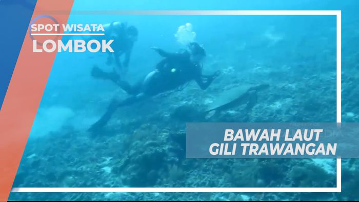 Diving Menikmati Keindahan Bawah Laut Gili Trawangan Lombok