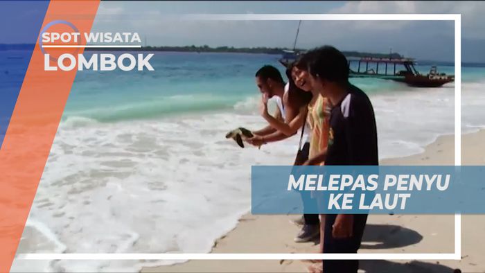 Melepas Penyu ke Alam Bebas, Lombok