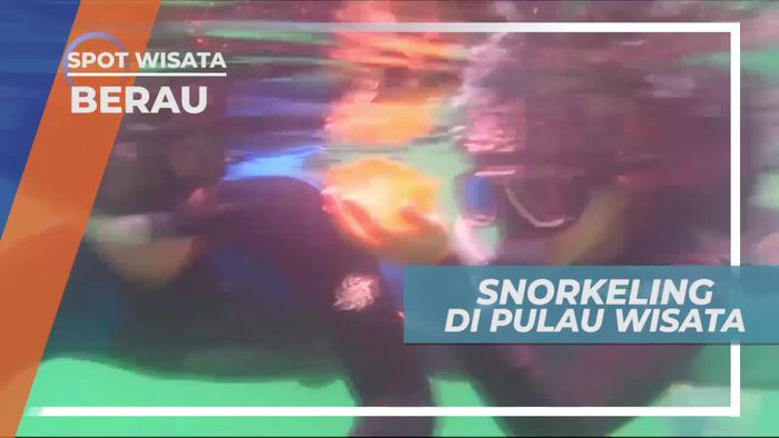 Snorkeling Menikmati Keindahan Bawah Laut Pulau Kakaban Berau