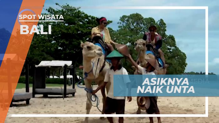 Asiknya Naik Unta Sambil Menikmati Suasana Pantai Nusa Dua, Bali
