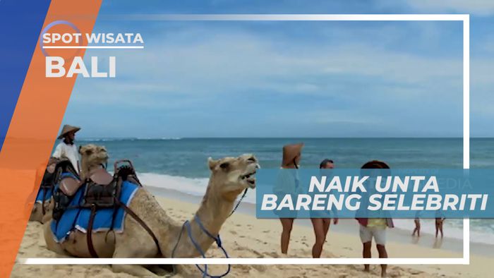 Seru-seruan Naik Unta Bersama Wisatawan Asing, Bali
