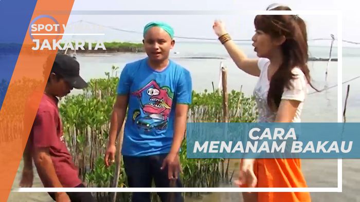 Menanam Pohon Bakau di Tepi Pantai Kepulauan Seribu, Jakarta