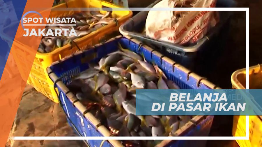 Berburu Hasil Laut yang Masih Segar di Pasar Ikan, Jakarta