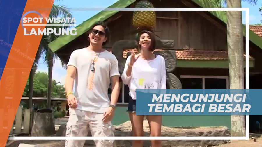 Jalan-jalan Mengunjungi Agro Wisata Nanas di Tembagi Besar, Lampung
