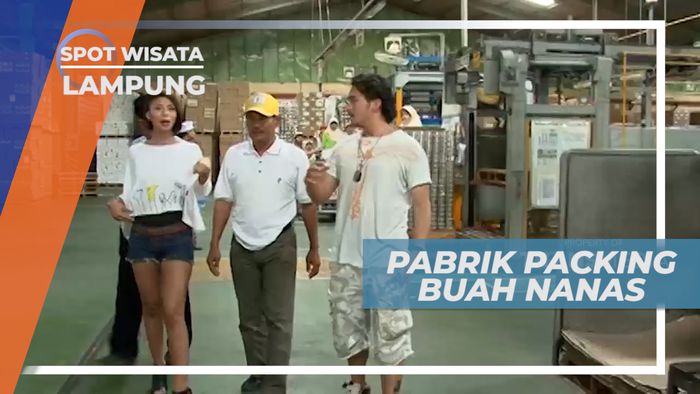 Mengunjungi Pabrik Tempat Pengolahan Buah Nanas, Lampung