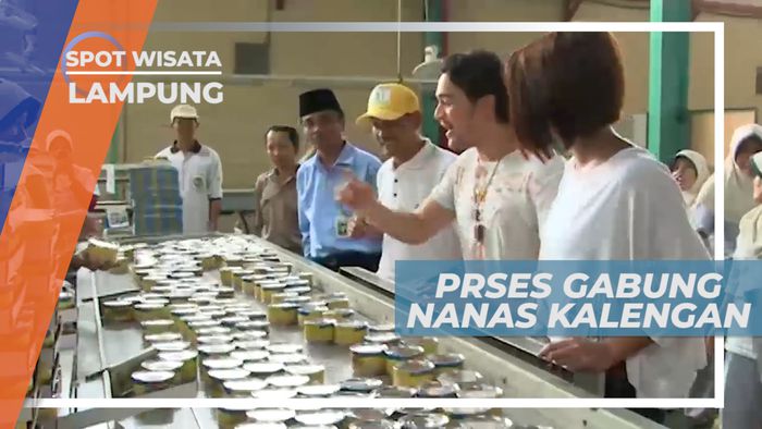 Melihat Proses Pengemasan Hasil Olahan Buah Nanas, Lampung