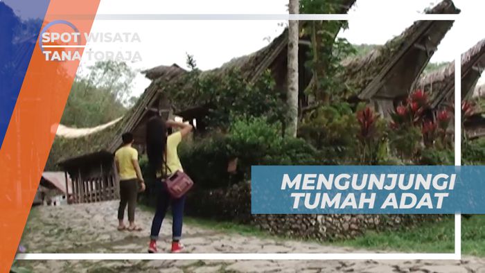 Mengunjungi Megahnya Tongkonan, Rumah Adat Tana Toraja di Desa Buntao, Tana Toraja