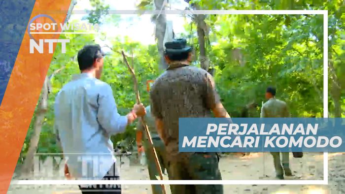 Menyusuri Setiap Sudut Taman Nasional Berburu Keberadaan Komodo, Nusa Tenggara Timur