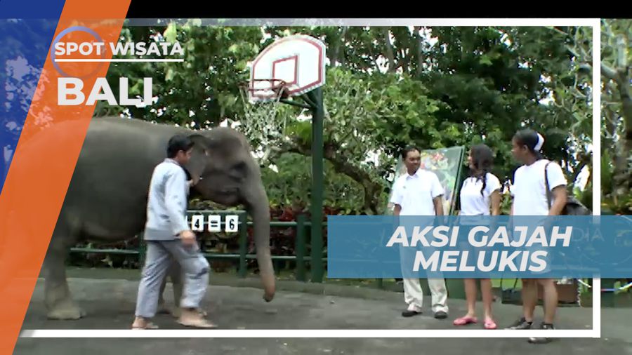 Melihat Kehebatan Aksi Gajah Melukis di Baju Pengunjung, Bali