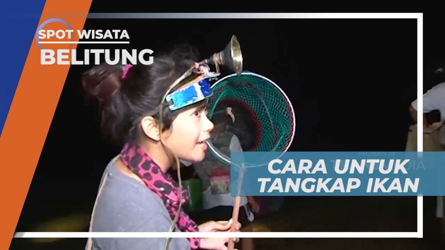 Cara Menangkap Udang Dengan Jaring Tangan, Belitung