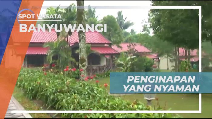 Penginapan Dengan Nuansa Asri di Kota Banyuwangi