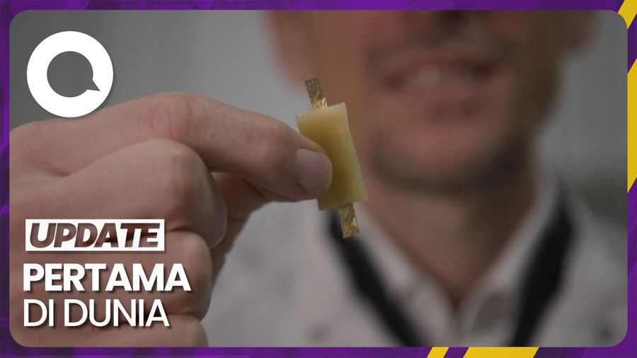 Ilmuwan Italia Bikin Baterai Isi Ulang yang Bisa Dimakan