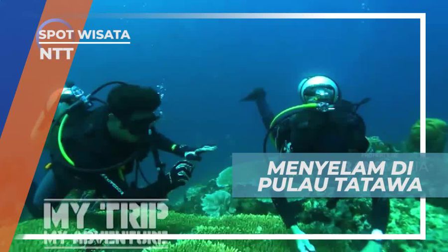 Diving Menikmati Keindahan Bawah Laut Pulau Tatawa Nusa Tenggara Timur