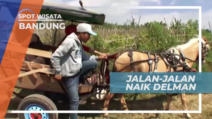 Naik Delman Berkeliling Kota Bandung